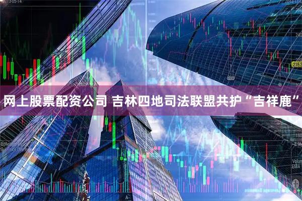 网上股票配资公司 吉林四地司法联盟共护“吉祥鹿”